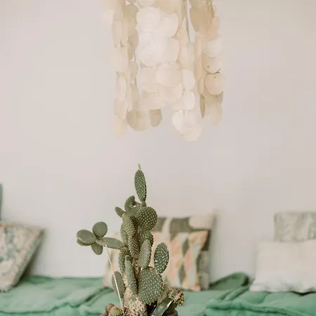 Apartment Koala